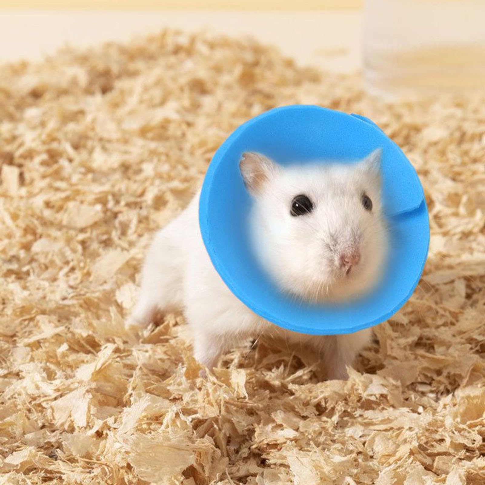 Collier Collier pour Animaux de Compagnie, Anti-Léchage Doux pour Hamster Récupération, Protection Contre Les Griffures pour Lapin Perroquet Furet au Quotidien pour Petits Animaux