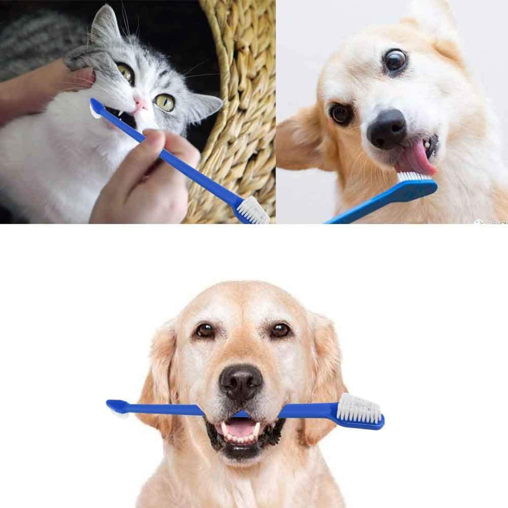 Ensemble de Brosse à Dents pour Animaux Compagnie, 200 Pièces, Ensemble de Brosses à Dents Dentaires Pratiques à Double TêTe pour Chien en Toute SéCurité, Soins Dentaires pour Chat