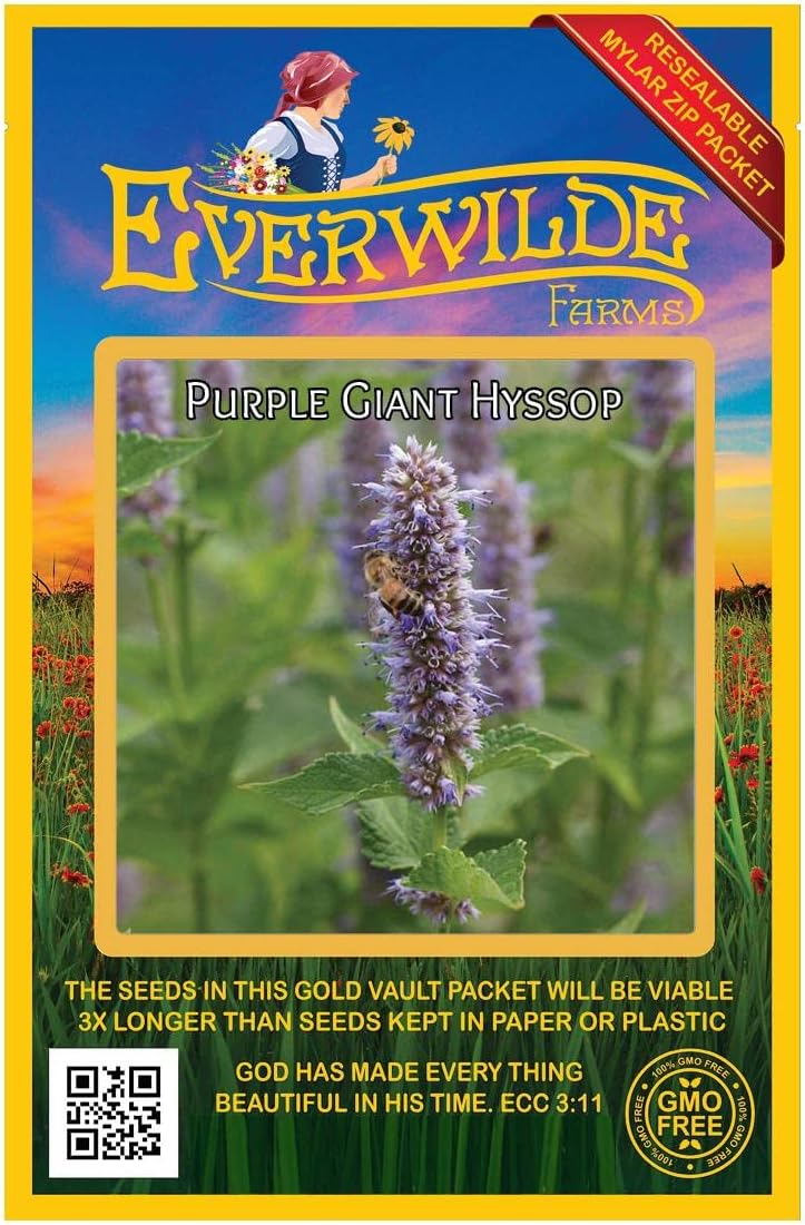 Everwilde Farms - 1 Oz Purple Giant Hyssop Native Wildflower Seeds - Gold Vault
