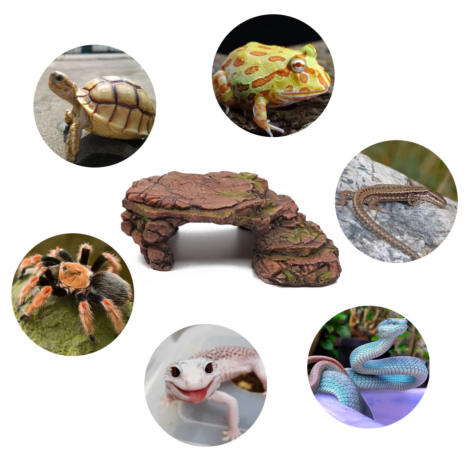 Schildpad koesteren platform aquarium verbergen grot natuurlijke habitat rotsen hars drijvend eiland aquarium stenen decor voor semi-waterdieren reptiel (groot