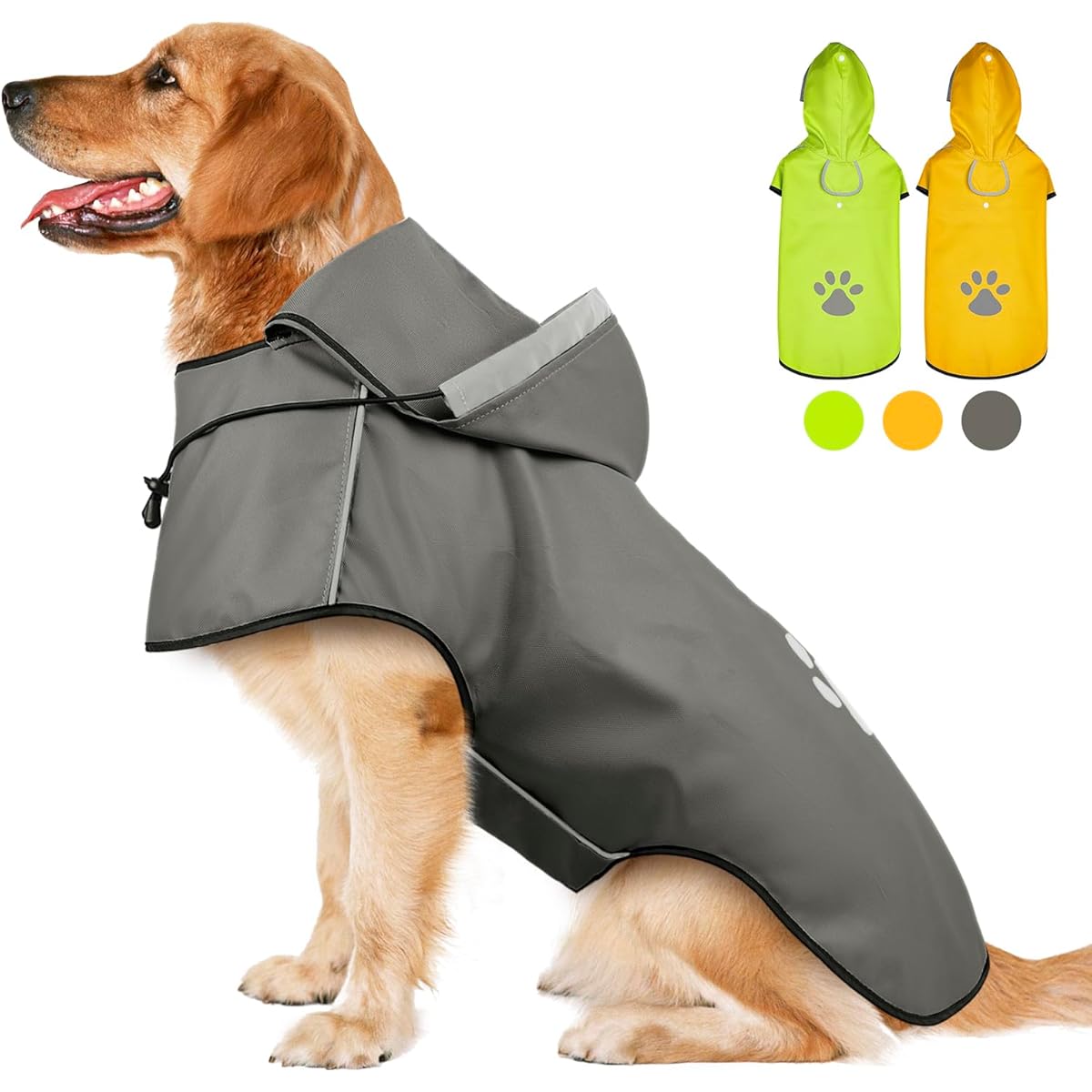 大型犬の雨散歩で最初にそろえるもの。レインコート・吸水タオル・足洗いの始め方