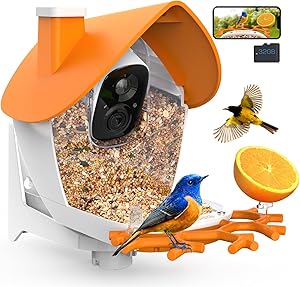 birdsnap® MON - Bird Feeder with Camera, 2K Detachable Video Bird Feeder Live with 32GB Card Fruit Fork, AI Identify Feather Species, Auto Record in Backyard, Ideal Gift for Birds Lover asin的图片