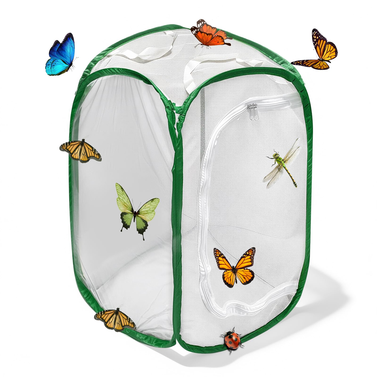Gabbia per Insetti e Farfalle,Gabbia per Habitat Farfalla, 40×40×60 cm, Terrari Pieghevole in Rete per Piante, Insetti(Verde)
