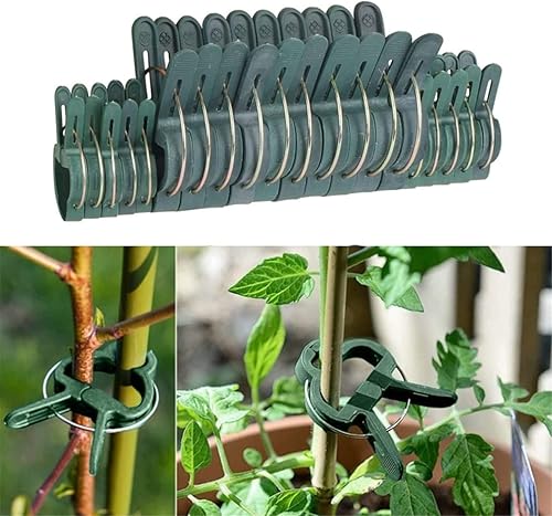 Miniatura 2 de 100 clips para plantas, clips de agarre de flores y vid para apoyar o alisar tallos de plantas y enredaderas trepadoras (2 tamaños)