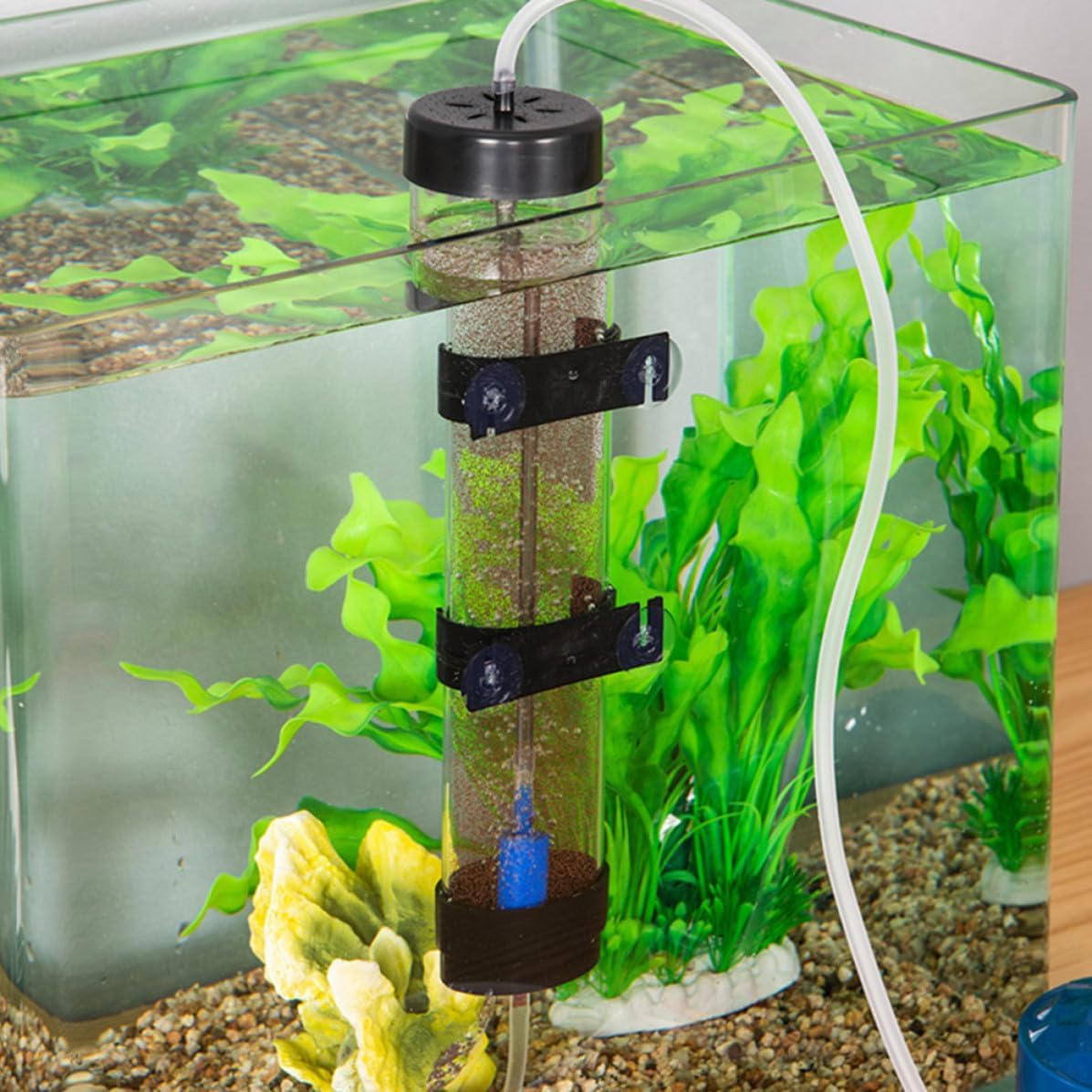 Shrimp Egg Incubator Hatching Box for Fish Breeding Plastic