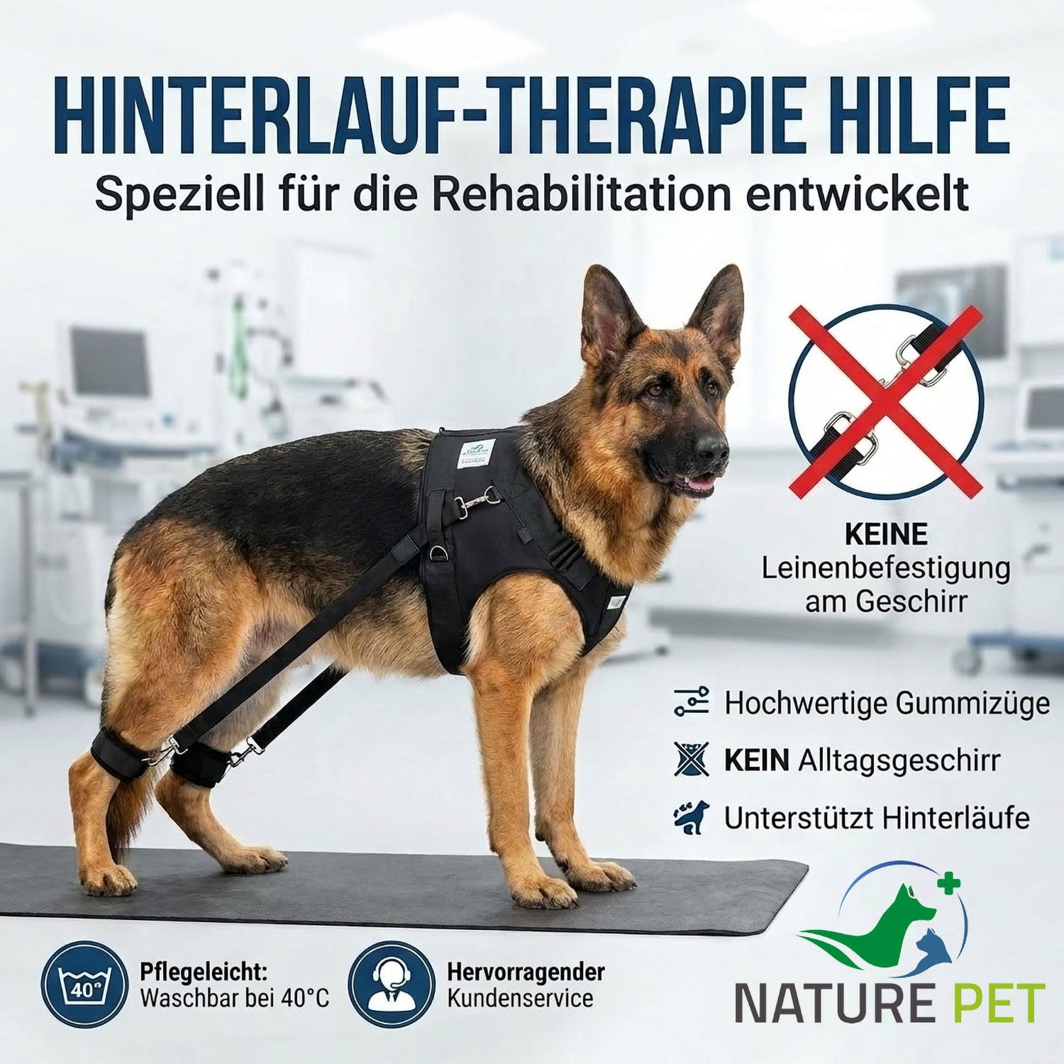 FlexiPander - Arnés de Entrenamiento para Perros con Problemas en la Cadera y en Las Patas traseras XL