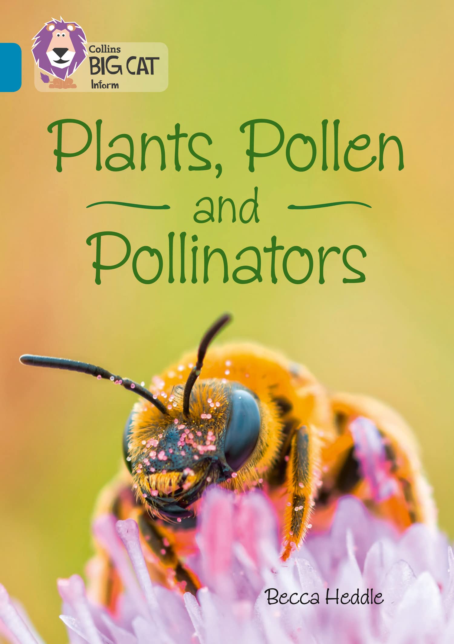 Plants, Pollen and Pollinators: Band 13/Topaz (Collins Big Cat) - Heddle, Becca