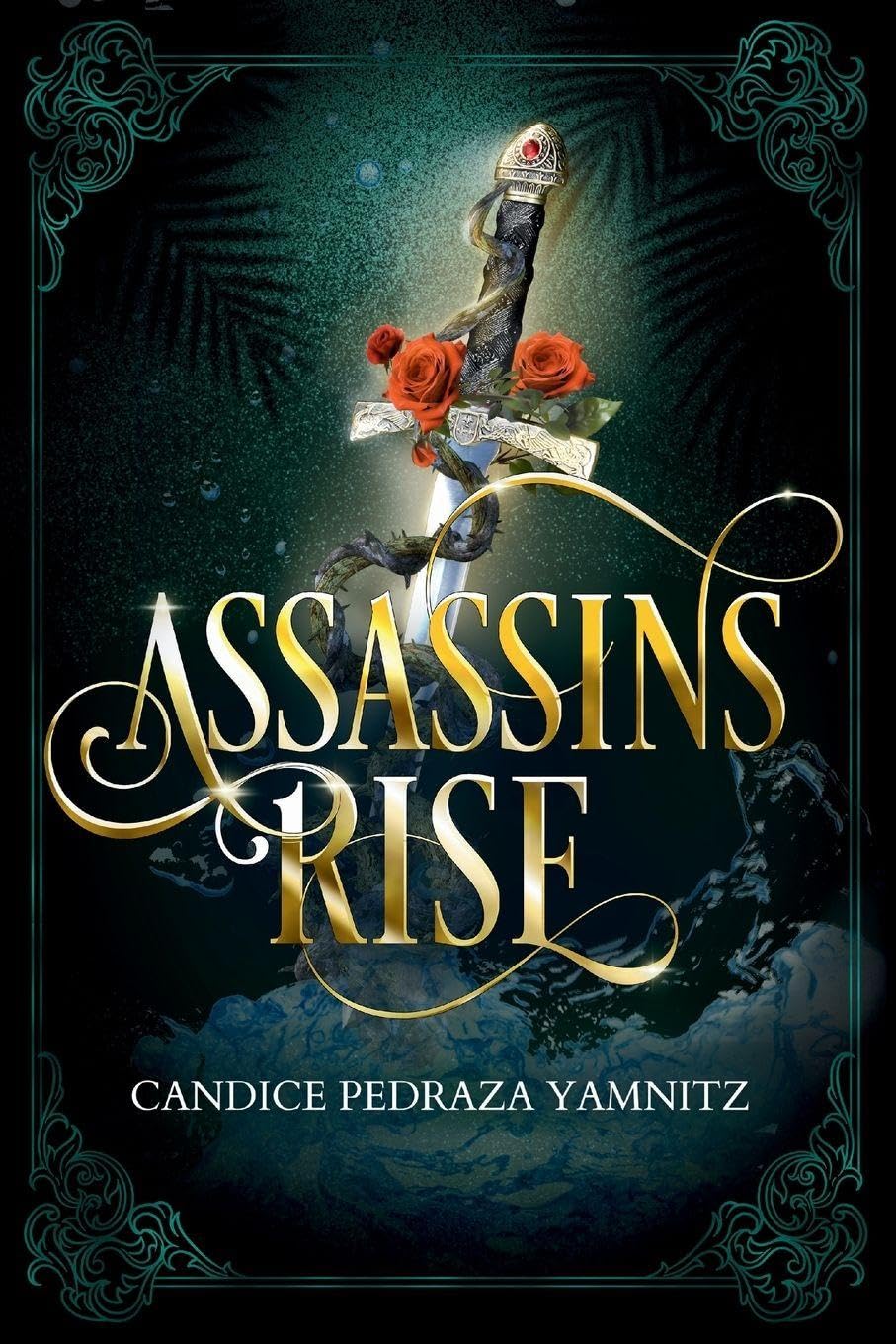 Assassins Rise