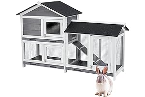 Explore the Unrivaled Comfort of the Gravee Two Floors Wooden Rabbit Hutch