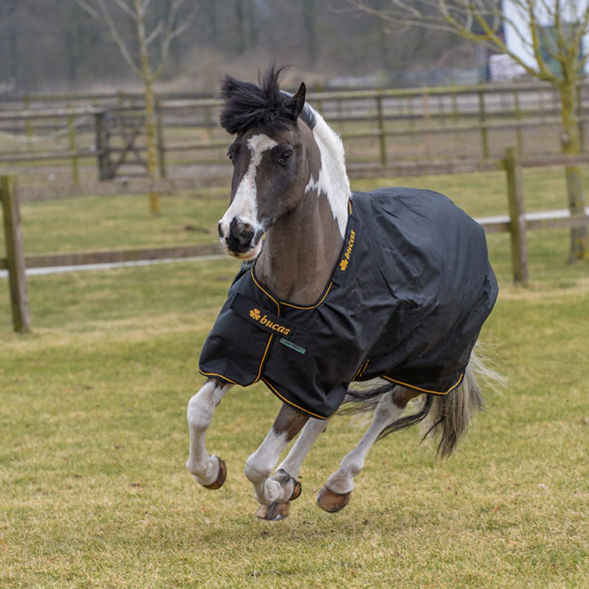 Bucas Irish Turnout Light 50g Classic 1200D - Pony - black/gold, Groesse:105