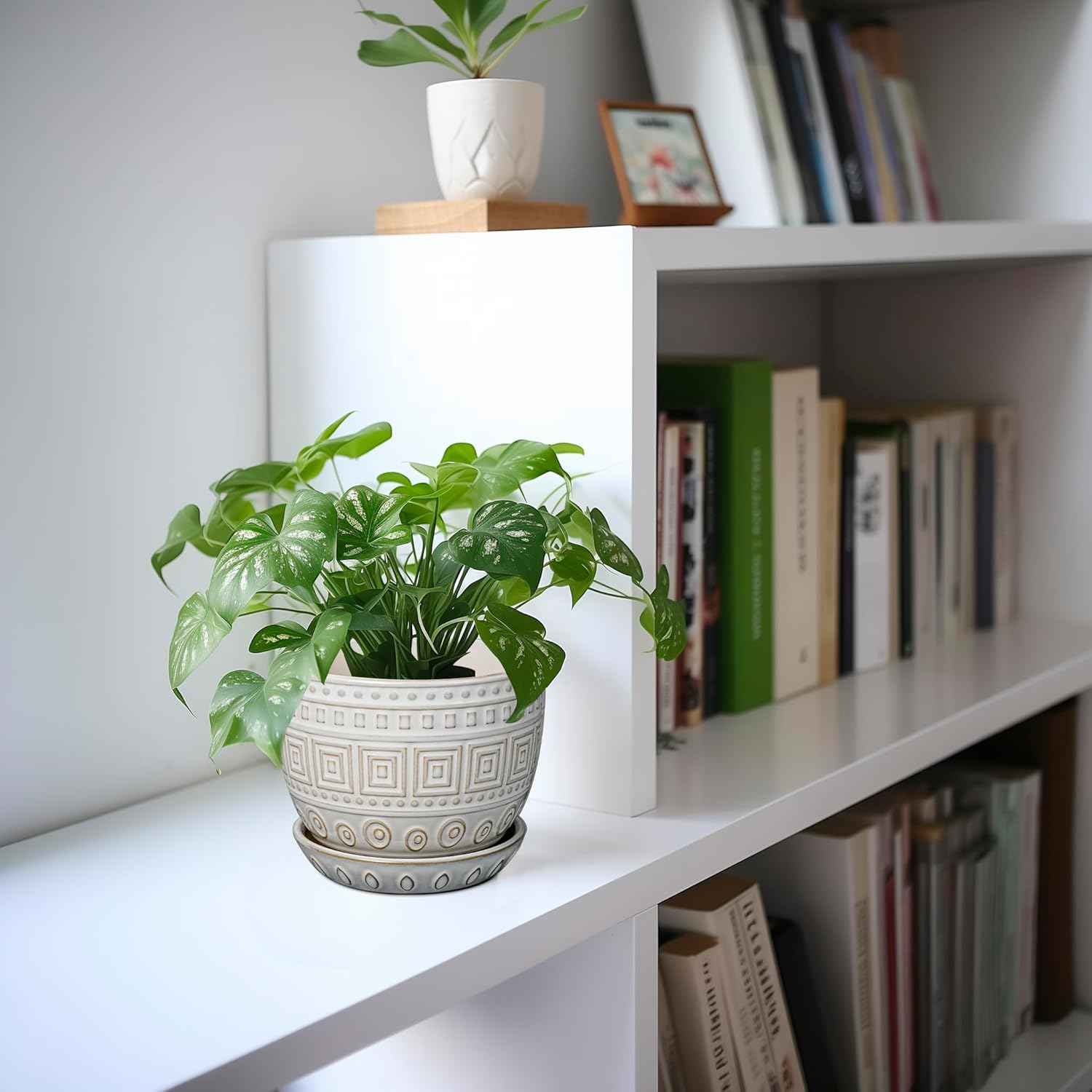 G EPGardening Ceramic Pots for Plants - 5 Inch Plant Pot Indoor with Drainage Hole and Saucer, Outdoor Flower Pot, Decorative Round Planter for Succulent Orchid Snake Plants, White