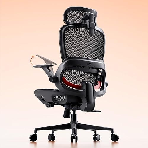 SIHOO B100 Office Chair, Comfy Ergonomic Office Chair, Computer Chair