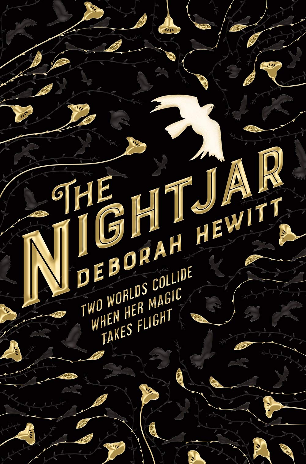The Nightjar — Deborah Hewitt Paperback