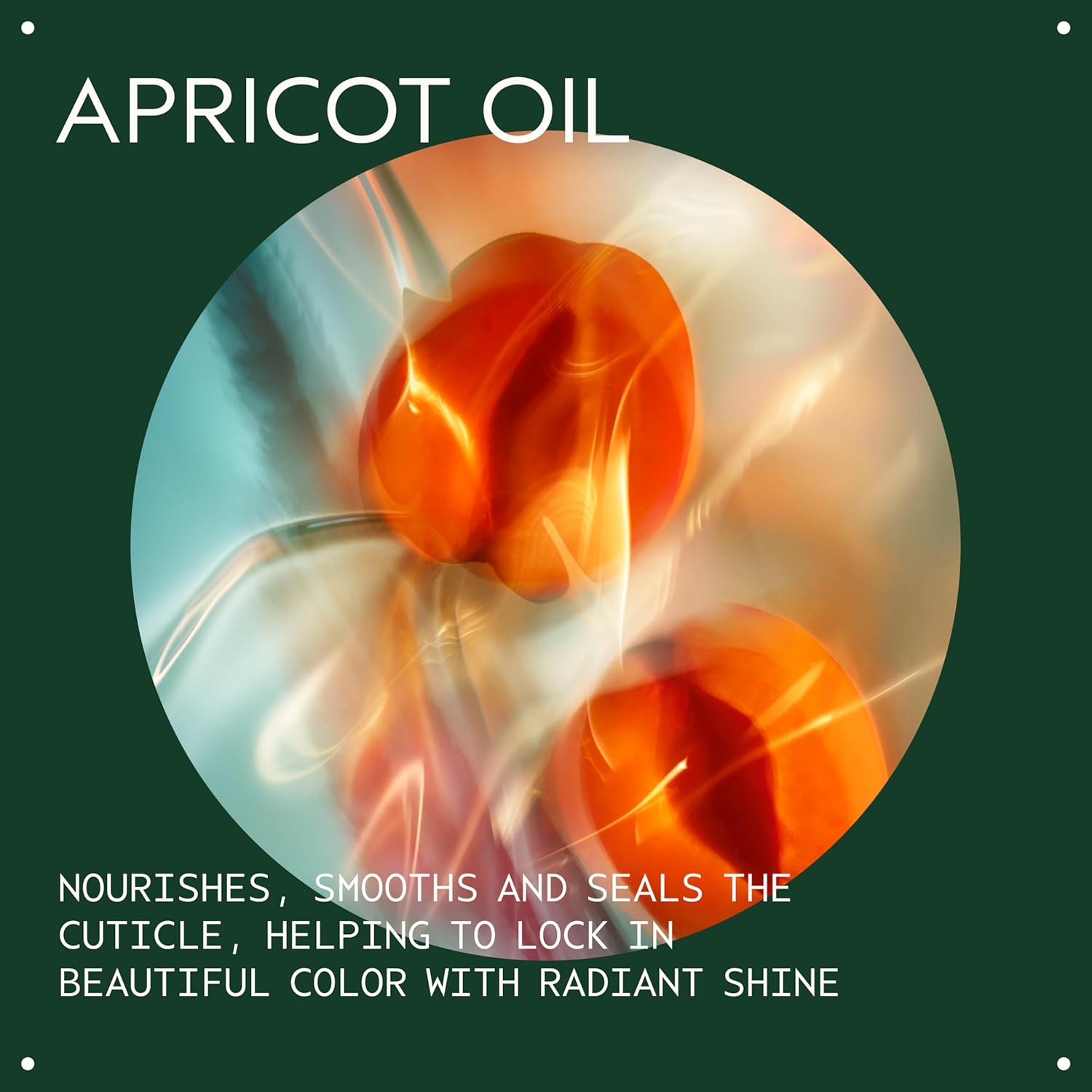 Aveda Color Control Rich Shampoo | Color Protection Shampoo | Fights Fade | for Medium to Thick Color-Treated Hair Types | Silicone Free - Image 3