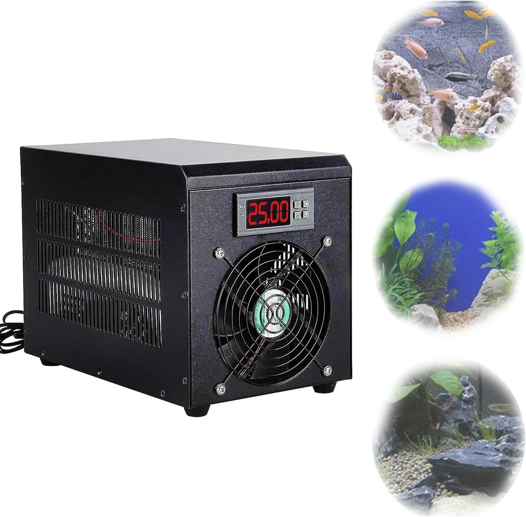 Refroidisseur aquarium 60L pour garder l'eau fraîche en été