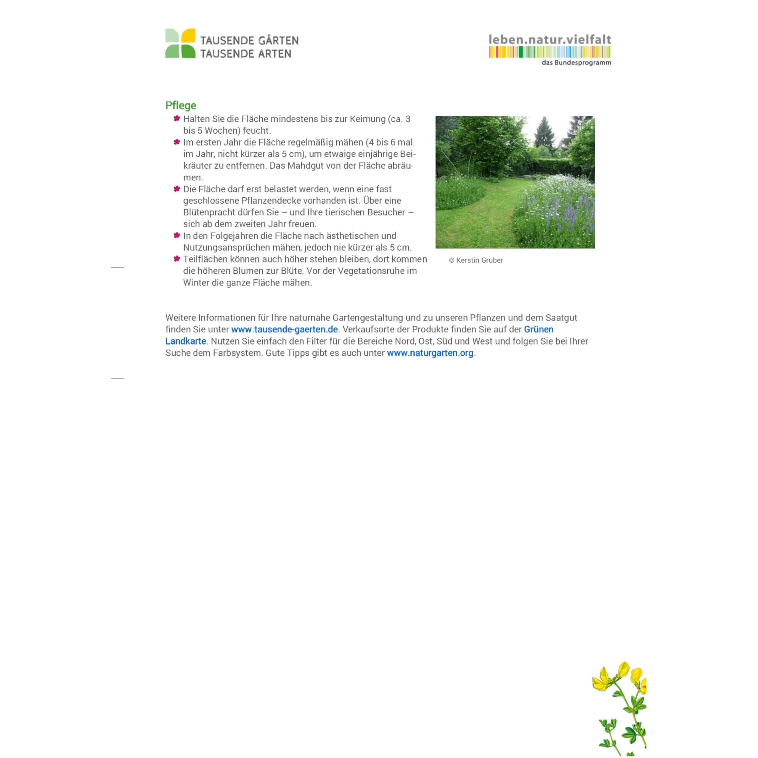 Wildblütenrasen | Alternative zu Zierrasen | Saatgut mit 18 heimischen Wildpflanzenarten (50% Blumen / 50% Gräser) | Blütezeit: Mai - Okt. | trittfest | Projekt "Tausende Gärten – Tausende Arten" (5)