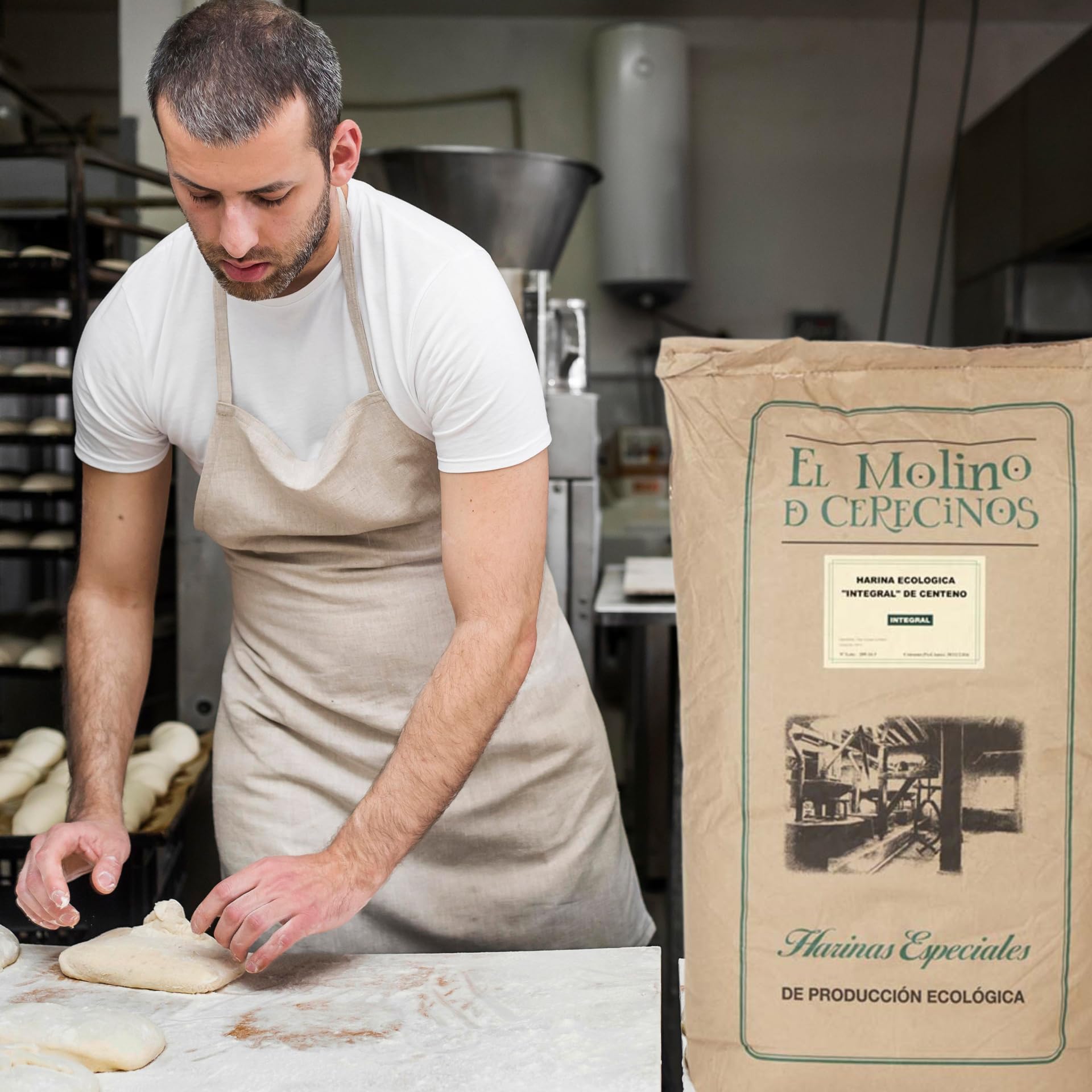 Harina De Centeno Ecológica Integral 25Kg | Rico en Fibra y Minerales que Aumenta la Saciedad | Ideal para Pan De Centeno Integral Puro Y Recetas Saludables | Harina De Centeno, Aroma y Sabor