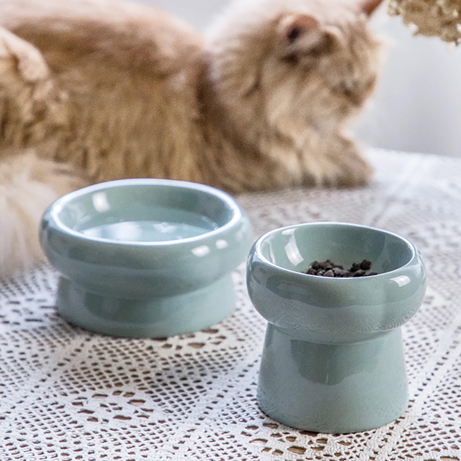 Katzennäpfe, Katzennäpfe Für Hauskatzen, Erhöhte Katzennäpfe Aus Keramik, Katzennäpfe Für Schnurrhaare