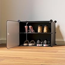 2 Shelf 1 Door Black DIY Multipurpose Plastic Shoe Rack Small for Home (Black Rack, Transluscent Door)