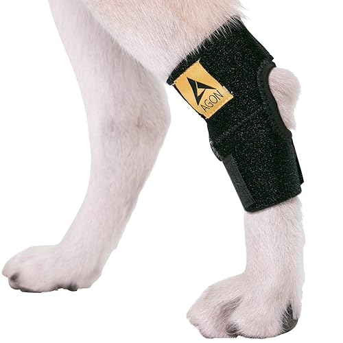 Agon® Dog Leg Braces For Back Leg wrap hock compression