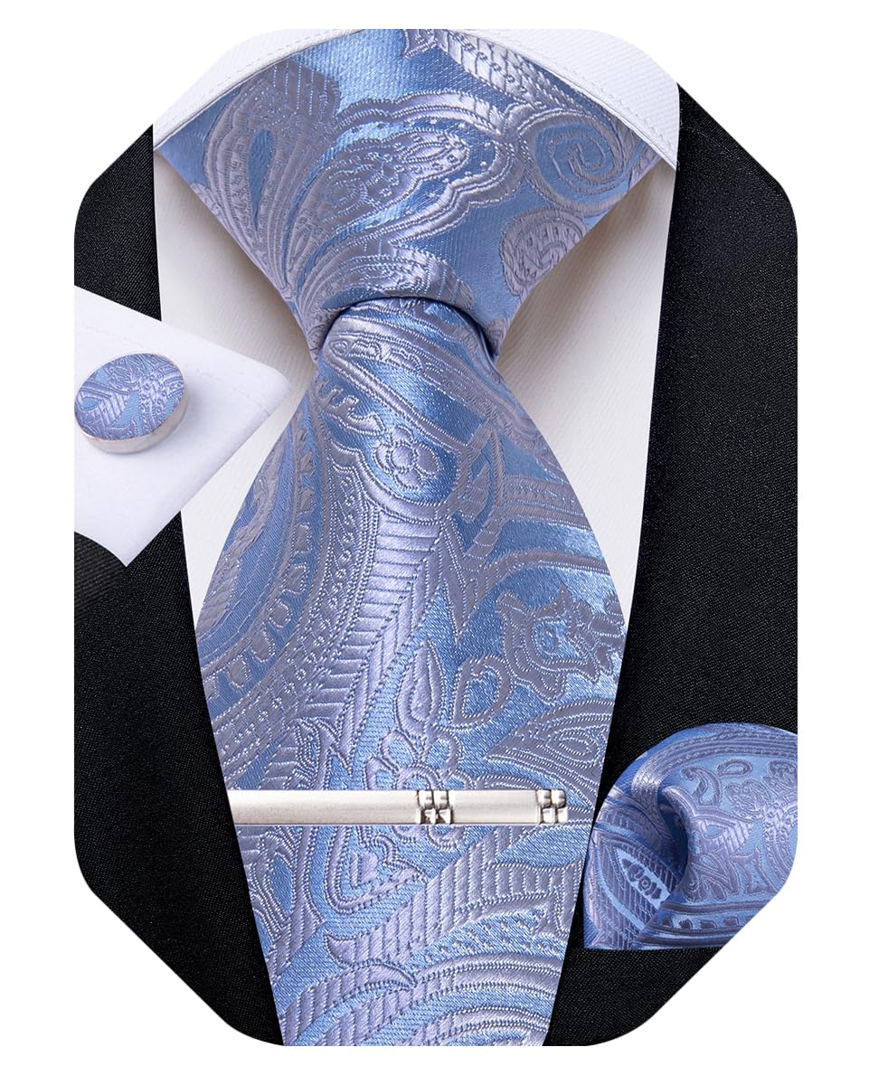 DiBanGu Silk Floral Ties for Men Woven Paisley Necktie