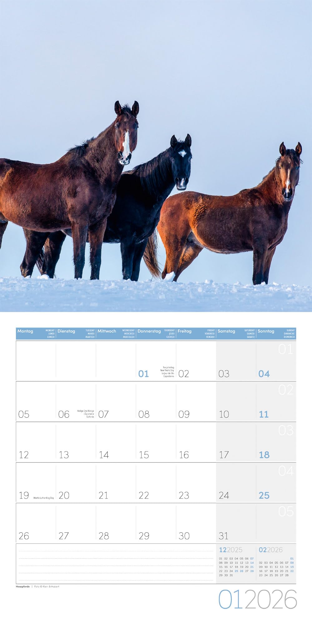 Pferde Broschürenkalender 2026 - 30x30 - Art12: Bildstarker Tier-Kalender im schlanken Hochformat (aufgeklappt 30x60 cm) | mit Eintrage-Kalendarium