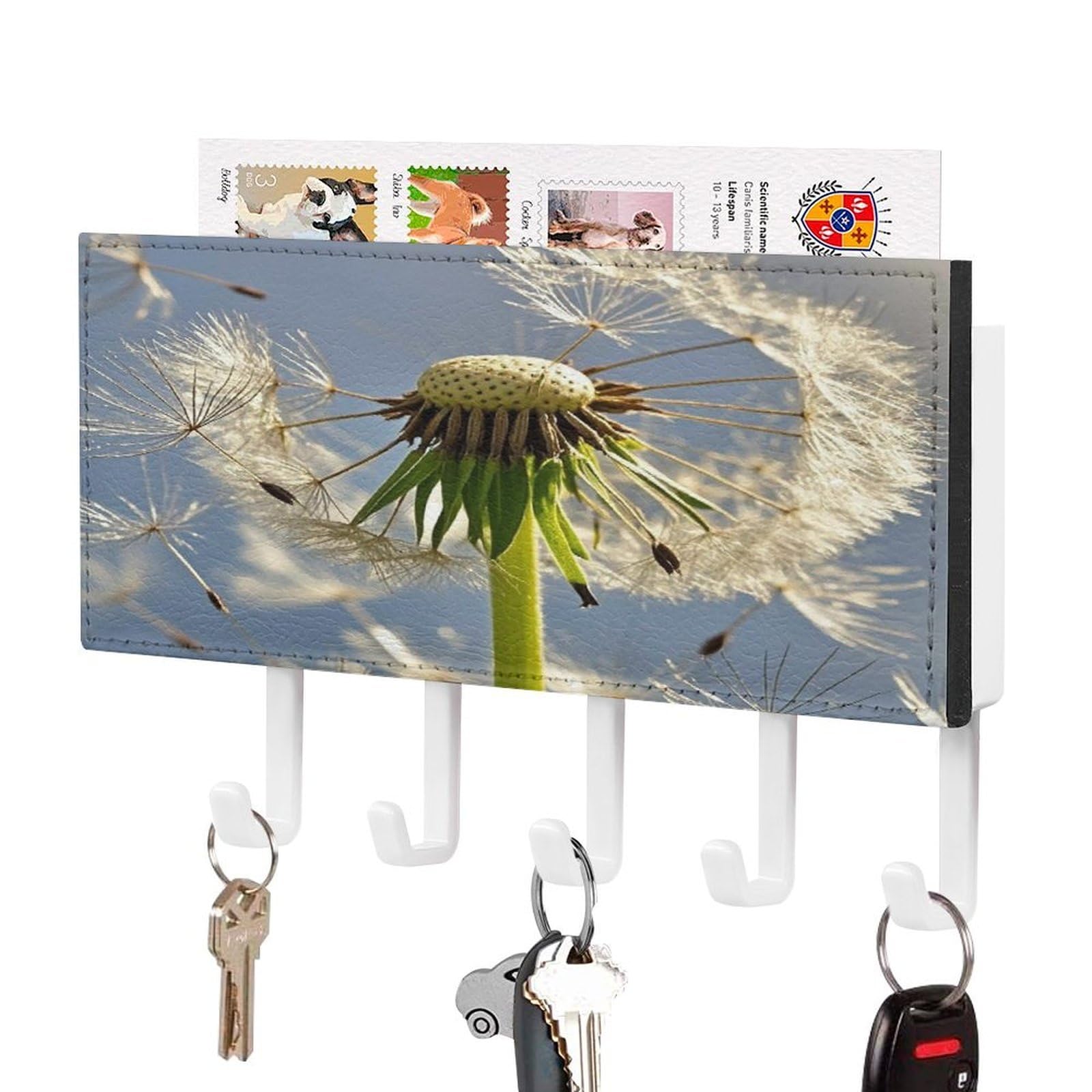 FekiLoot Dandelion Key Holder Wall Mount Key Hanger with 5 Hooks Decorative Key Rack Hanging Key Hooks with Mail Organizer Key Holder for Wall Living Room Kitchen Bathroom Hallway White