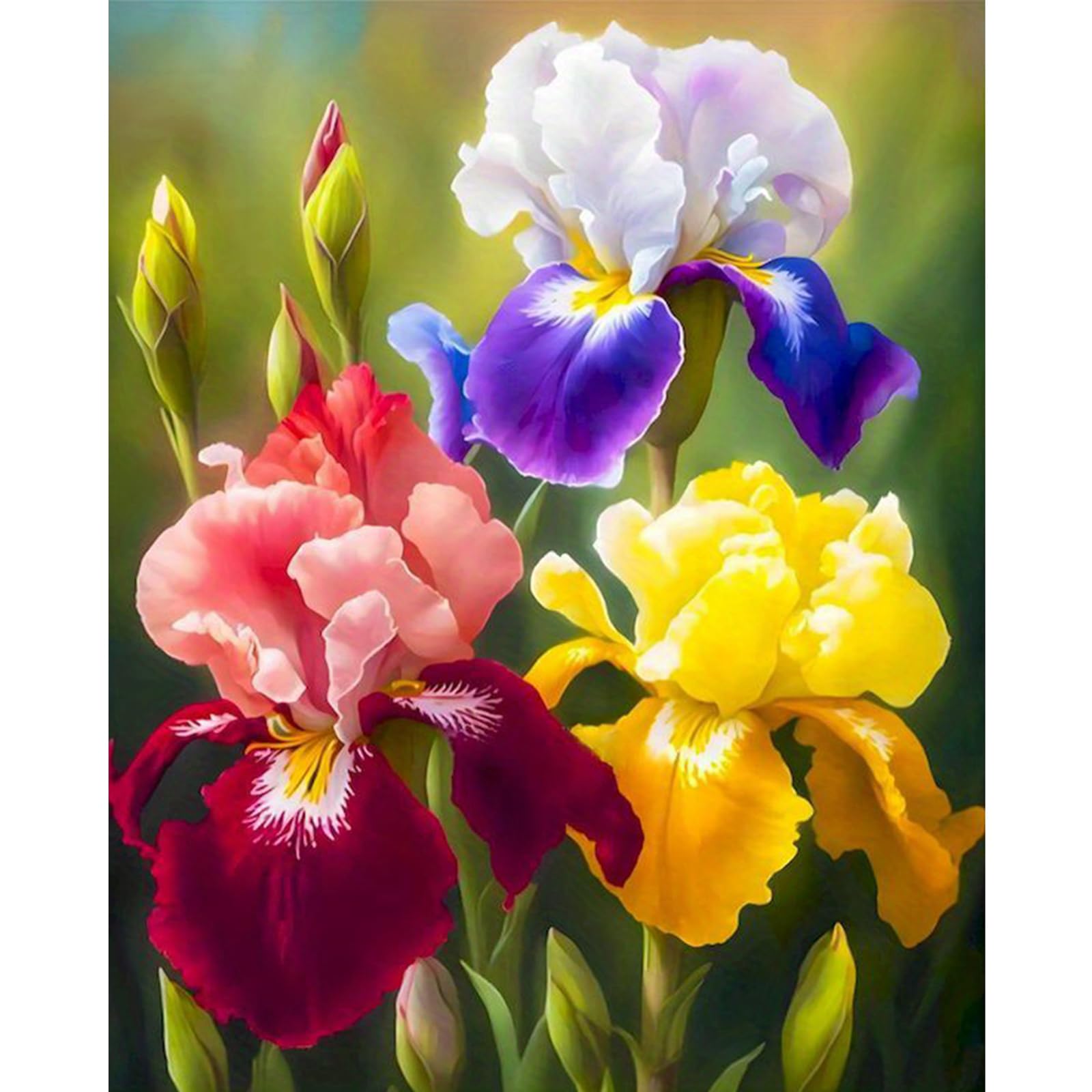 Poetrydraw Colorful Iris Bouquet Embroidery Kit 11Ct Diy Needlework Cross Stitch Art For Beginners, 15.74X19.68in, Home Decor