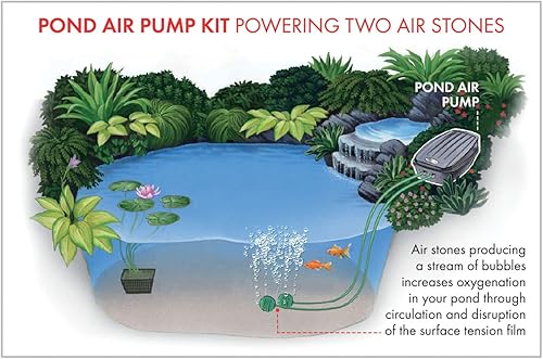 Miniatura 4 de Aquagarden, kit de bomba de aire para estanque, bomba de aire a prueba de intemperie para exteriores, oxigenador de estanque de salida doble, Inc 2