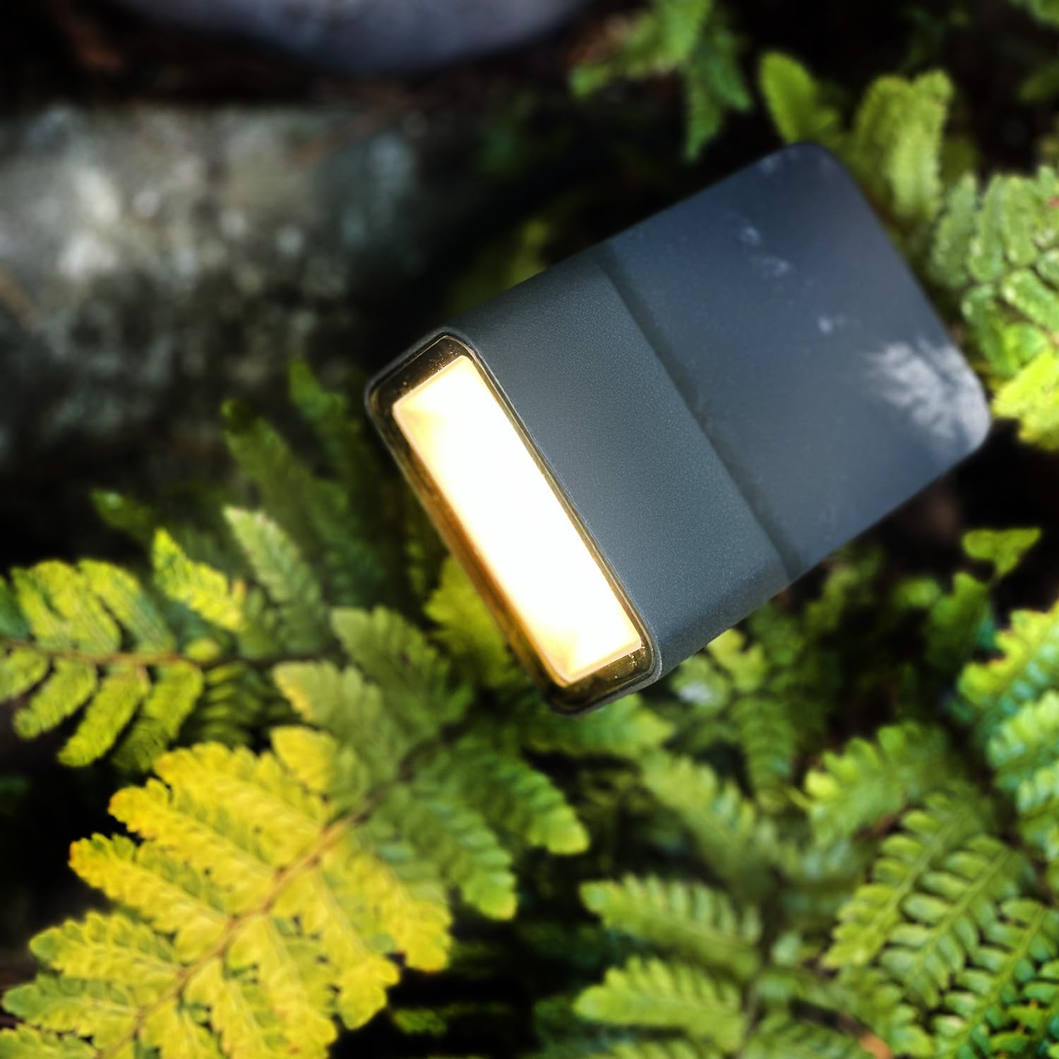 LightsOn Stella Oświetlenie ogrodowe LED Plug & Play: system 12 V, 560 lumenów, ciepłe białe światło. Stałe źródło światła i szeroka dystrybucja, łatwe w instalacji i rozbudowie, dla dużych drzew i