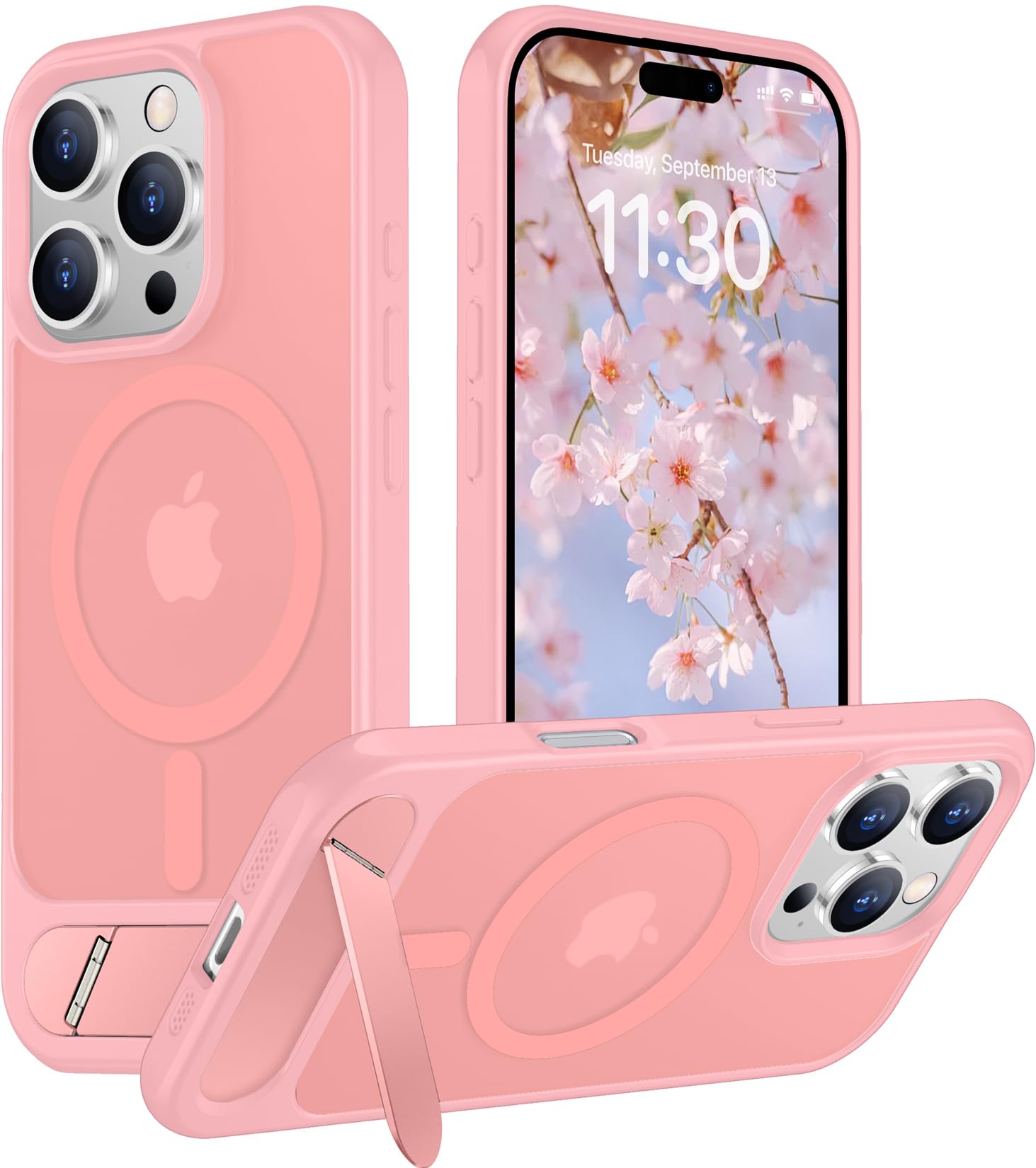 Temdan Magnetic Compatible with iPhone 16 Pro Case, [Built-in Invisible Kickstand][Compatible with MagSafe][Military Grade Shockproof] Slim Translucent Matte Phone Case for iPhone 16 Pro 6.3"