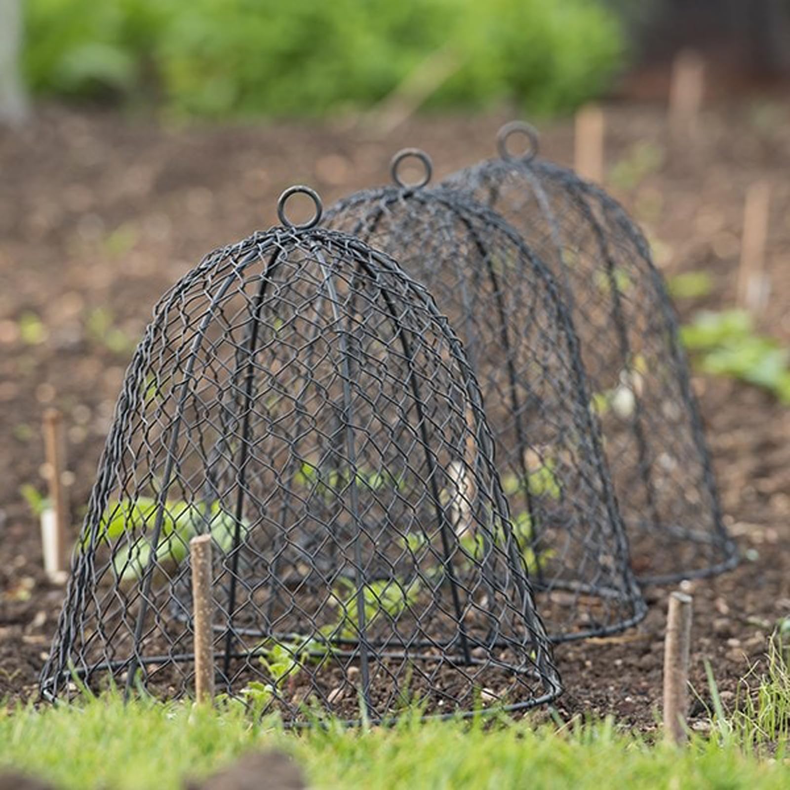 Crocus Collection 45cm Wire Cloche Plant Protector Cover Black Metal Garden Cloche Dome for Plants Animal Protection