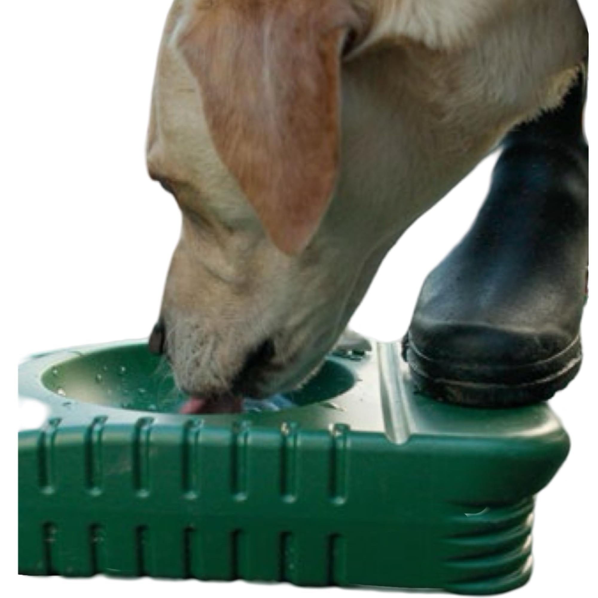 Gamelle de voyage pour chien - Bouteille d'eau pour chien 4 l - Gamelle portable avec poignée - Grand distributeur d'eau stable - Pompe à pied - Voiture - Voyage en plein air - Camping - Fournitures