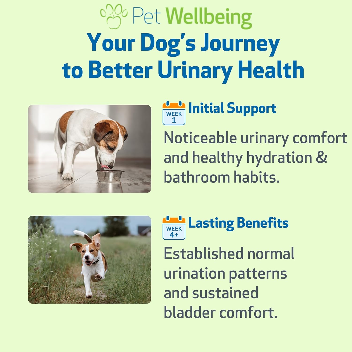 Pet Wellbeing Urinary Gold for Dogs - Vet-Formulated Multi-Herb Urinary Tract Support - Bladder Health & Urinary System Wellness - Natural Dog Supplement - 2 oz (59ml) (4 fl oz (118 ml))