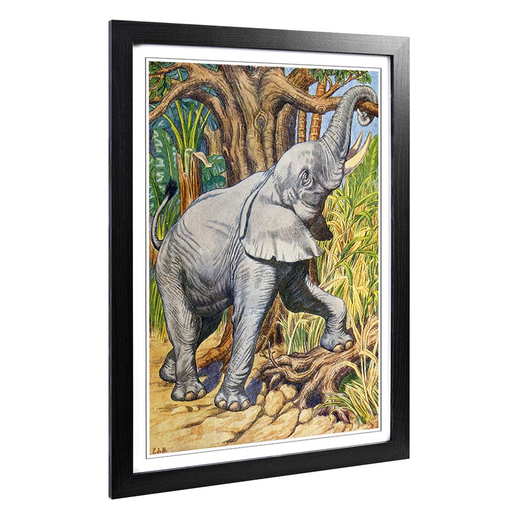 Big Box Art Framed Print of Vintage Percy J Billinghurst African Elephant Design | Wall Art Picture| Home Decor for Kitchen, Living Room, Bedroom, Hallway, Black, A2 / 24.5x18 Inch / 62x45cm
