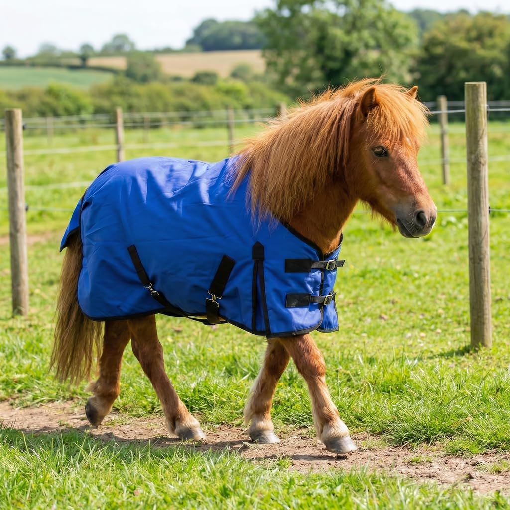 Turners Mini Shetland Pony Foal Waterproof Medium weight 200g Turnout Rug 3'0" - 5'0" (4'9")