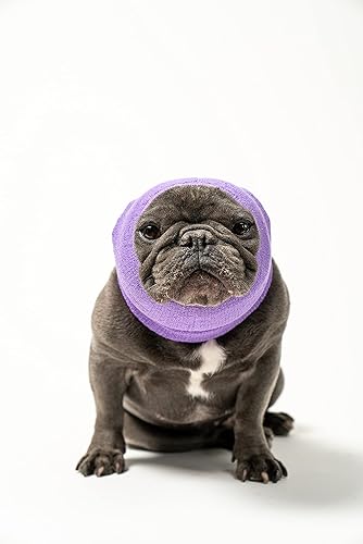 Miniatura 5 de Pet Hoodz - Sudadera con capucha para perros con ansiedad, aseo, orejeras, protección para las orejas del perro, calmante, compresión de oídos,