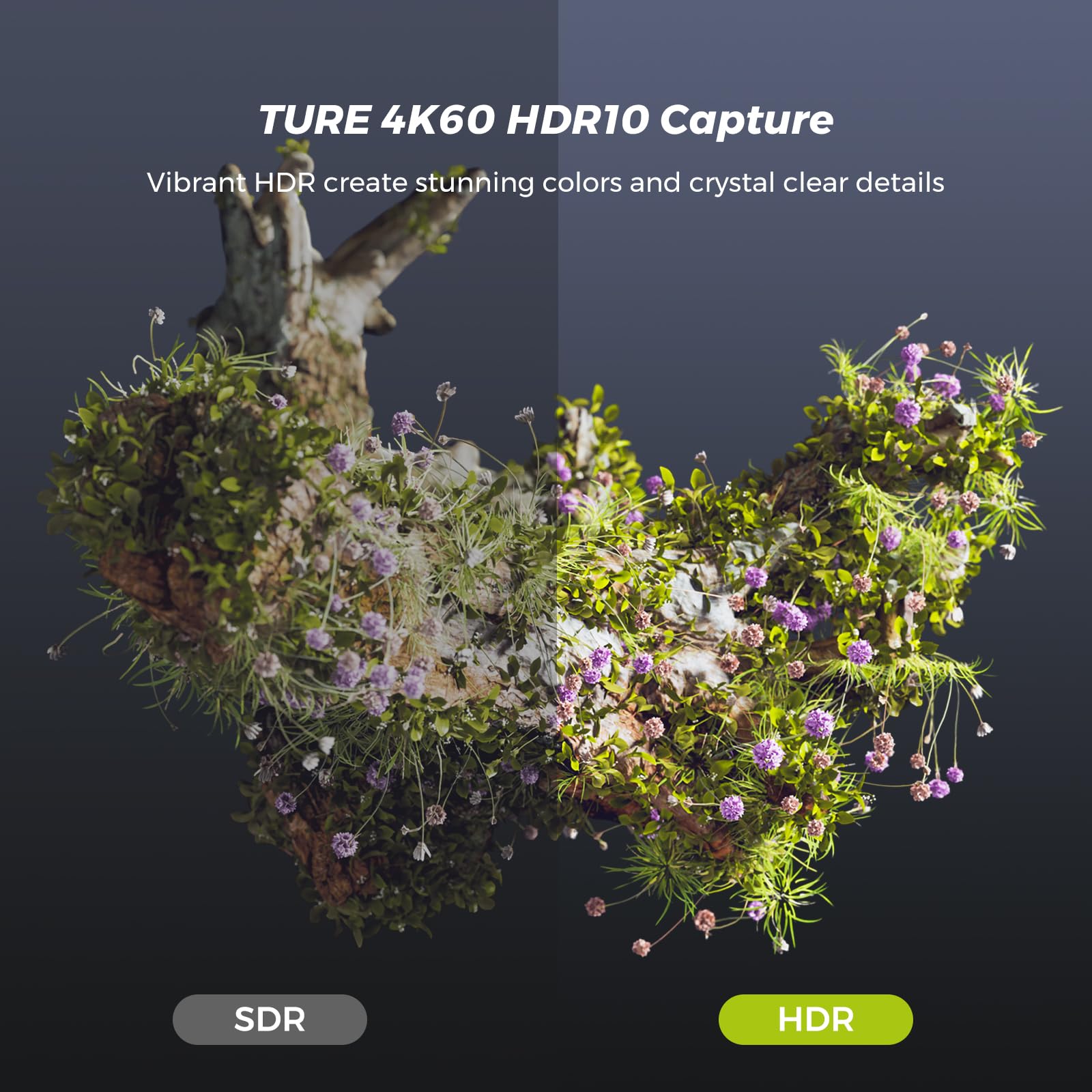 NearStream HDMI Capture Card for Streaming, 4K60 Passthrough, 1080p60 Video Capture, USB-C 3.0, Low Latency, Mic Input, for PS5/PS4/Xbox/Switch/Camera, Windows/Mac/Linux, CCD10: 4K60 HDR10-CCD30