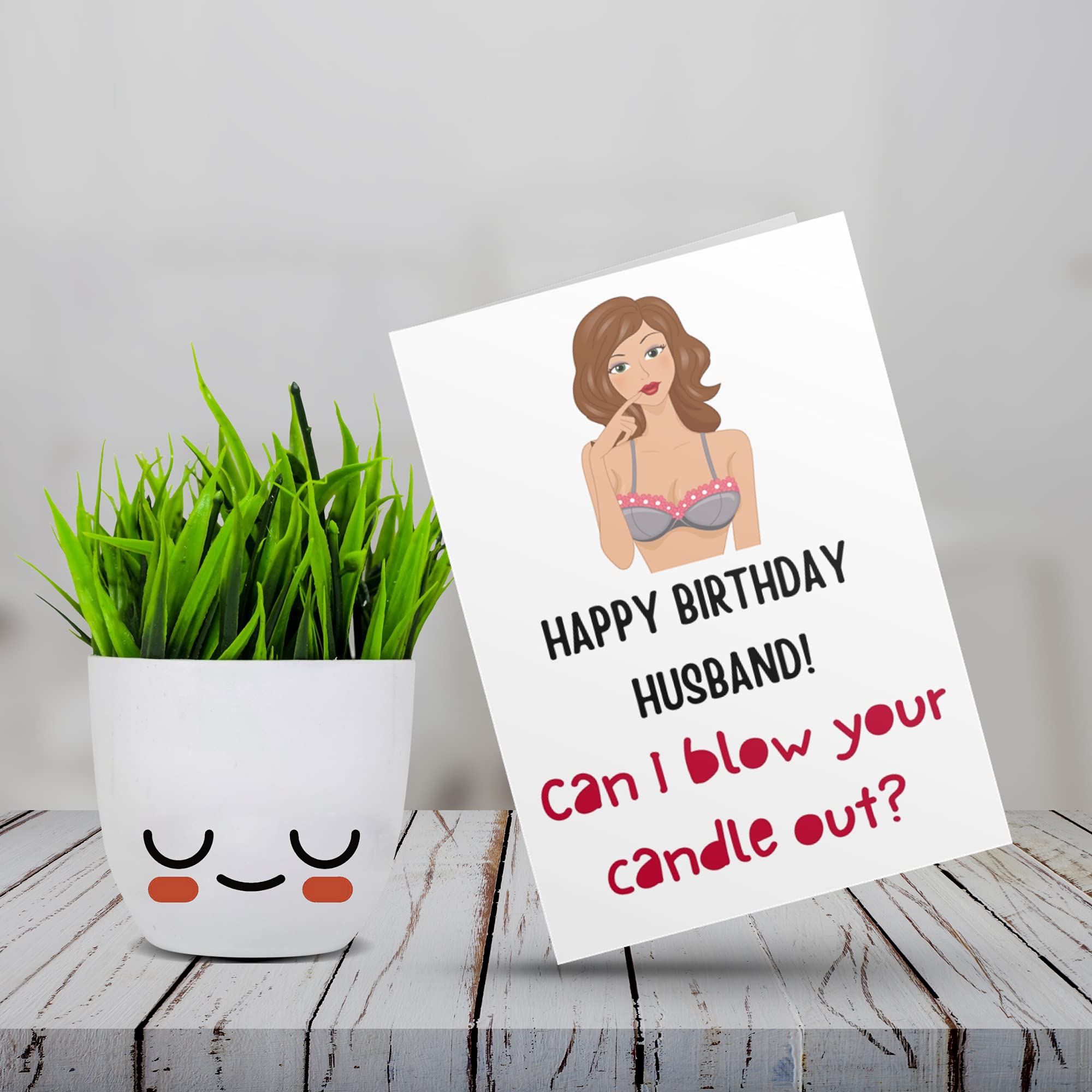 Kawai Homes Happy Birthday Greeting Cards with cute Dome kawaii artificial plant gift for Friends, Wife, Husband, Brother, Sister, Mom, Dad, Boyfriend, girlfriend, and Bestfriend ((C) FOR HUSBAND)