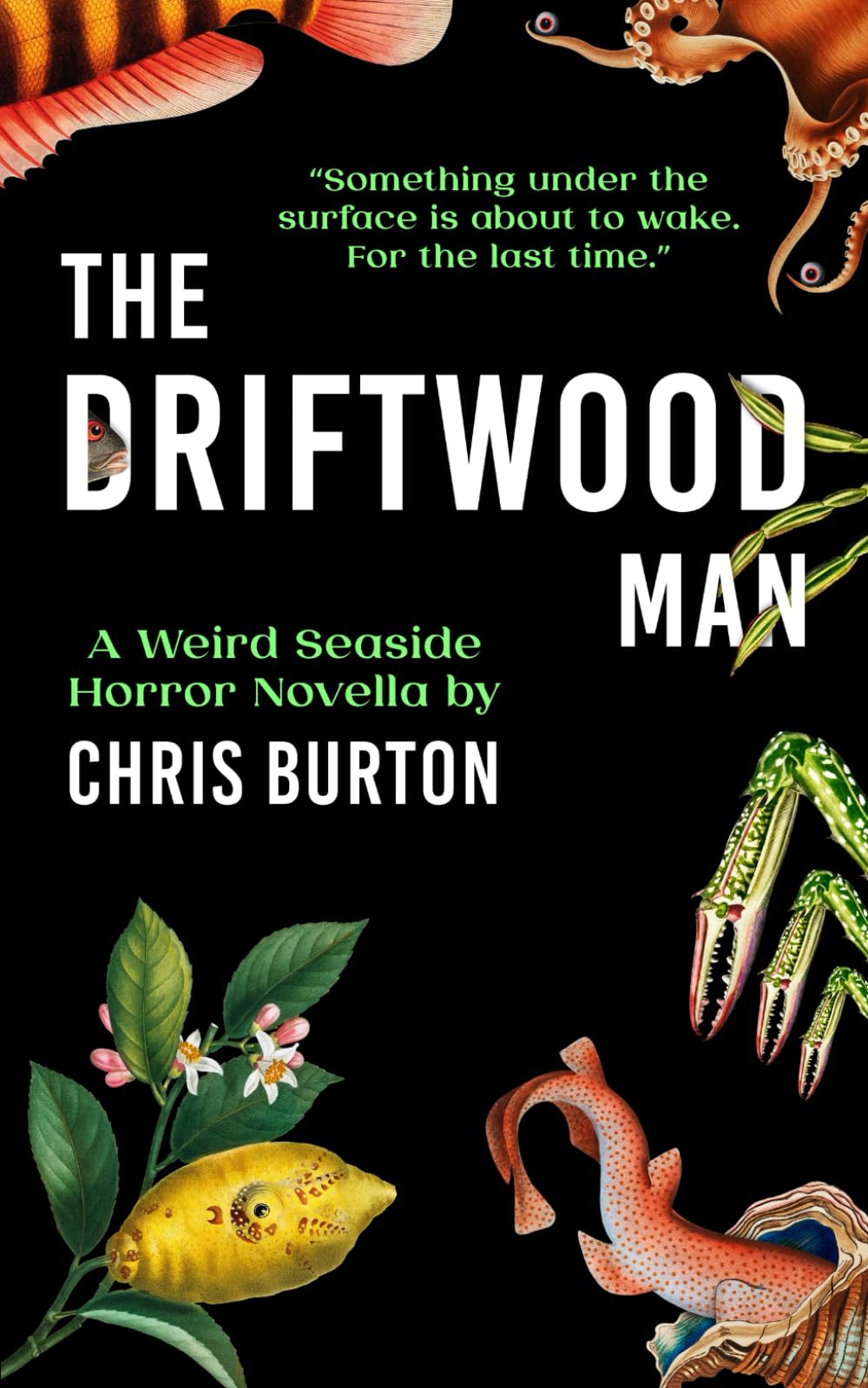 The Driftwood Man: A Weird Seaside Horror Novella