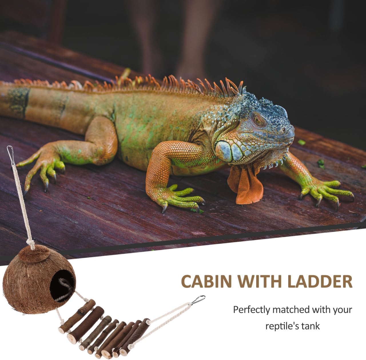 Hermit Crab Habitat with Ladder Brown Plastic Tank Hanging Hermit Crab Cave Decorative Reptile Hideout Terrarium Decor for Reptile Accessories Pet Habitat