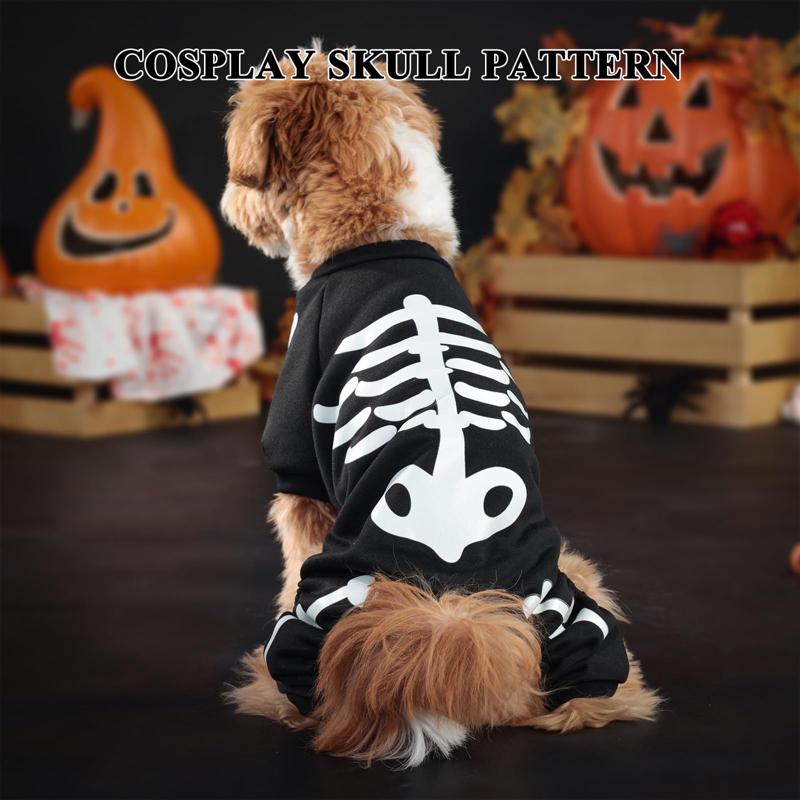 Biniveil Déguisement Squelette Pour Chien Halloween - Vêtement
