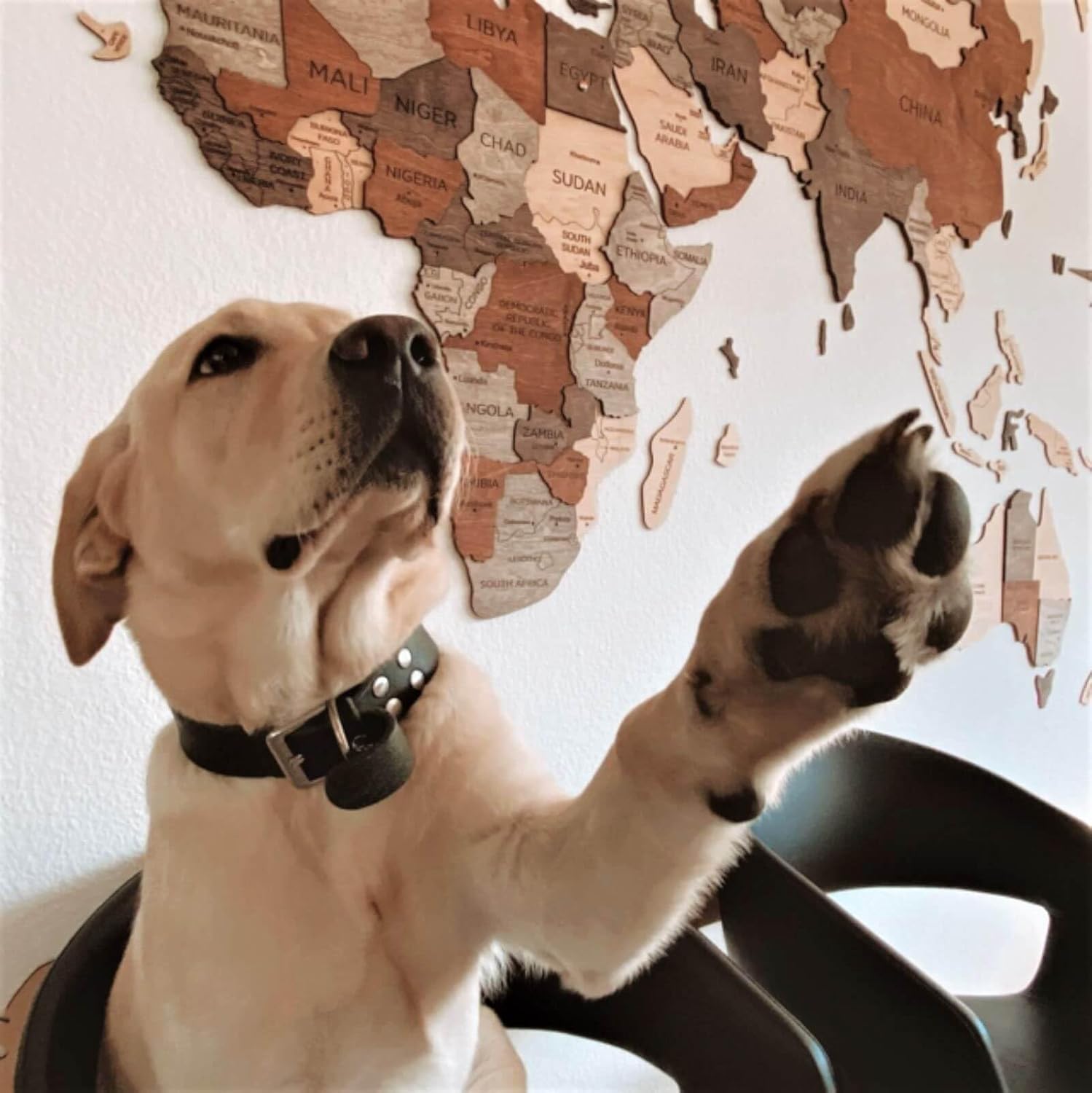 3D Wood Map Wall Art - Wooden World Map, Housewarming Gift - Wood Wall Art World Travel Map - Gift for First Home, Wood Wall Decor, Anniversary Gifts (Map, Multicolored, M)