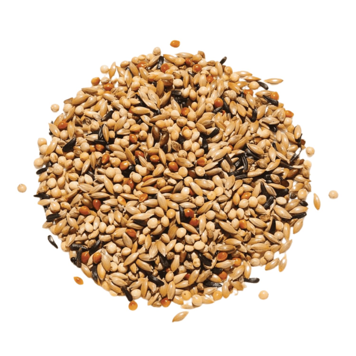 Countrywide Sam 1 - Mezcla de alimentación para periquitos, 20 kg
