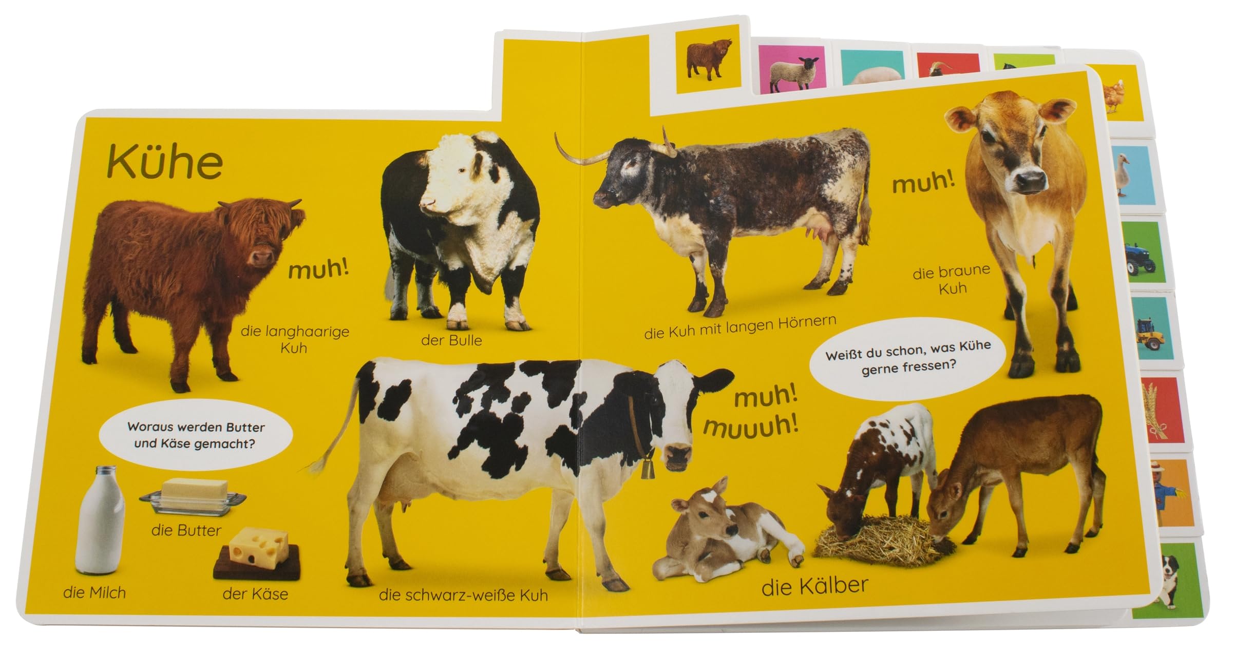 Erstes Lernen. Bauernhof: Pappbilderbuch mit Griff-Register und über 160 Fotos ab 1 Jahr