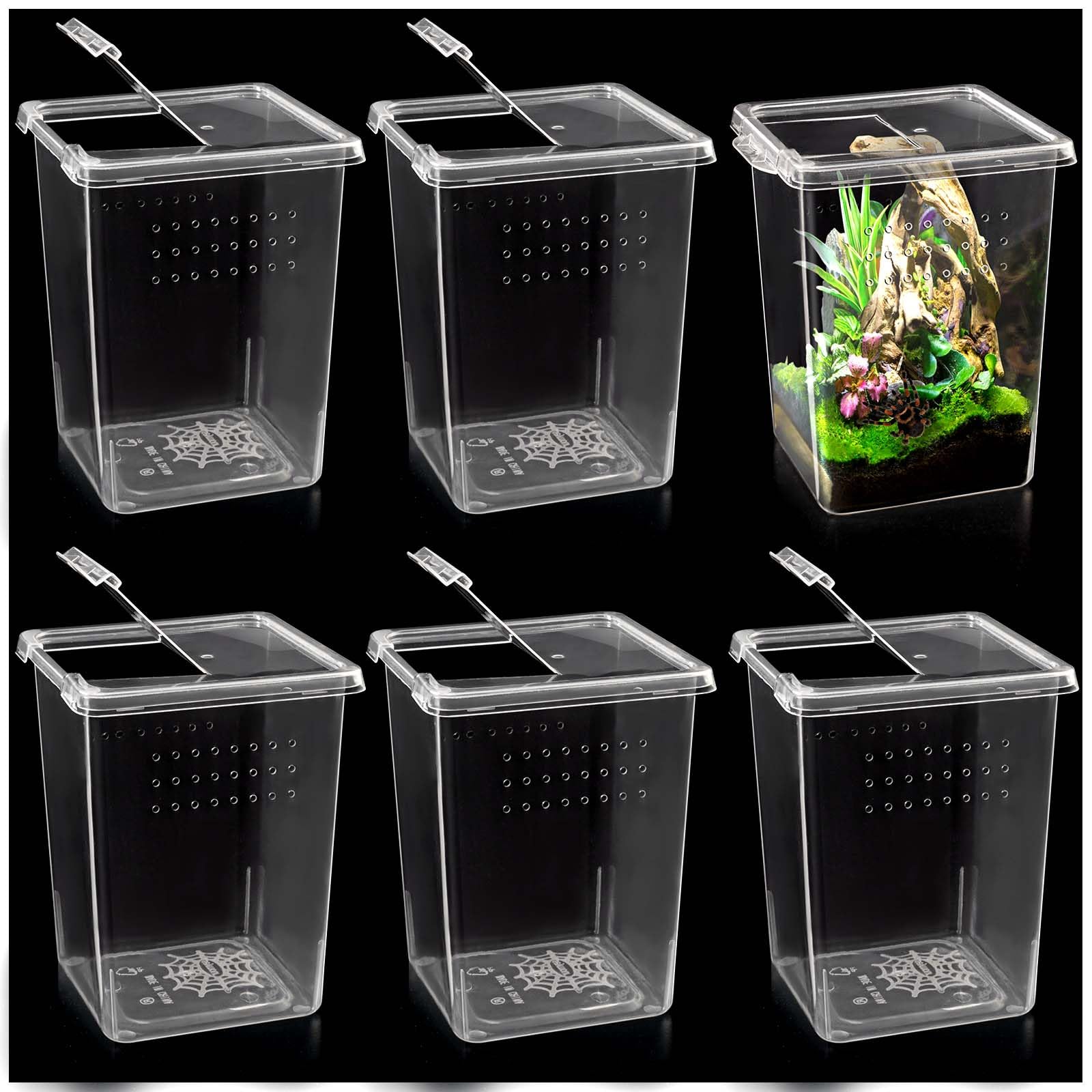 Snapklik.com : 6 Pcs Tarantula Enclosure Insect Spider Terrariums ...