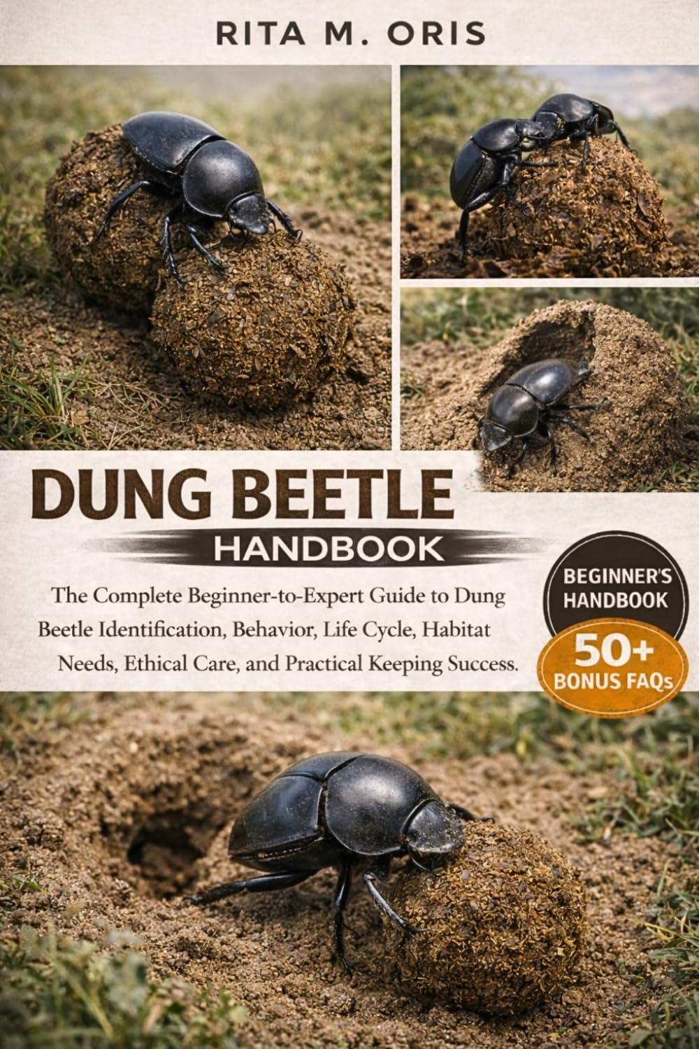 DUNG BEETLE HANDBOOK: The Complete Beginner-to-Expert Guide to Dung Beetle Identification, Behavior, Life Cycle, Habitat Needs, Ethical Care, and Practical Keeping Success