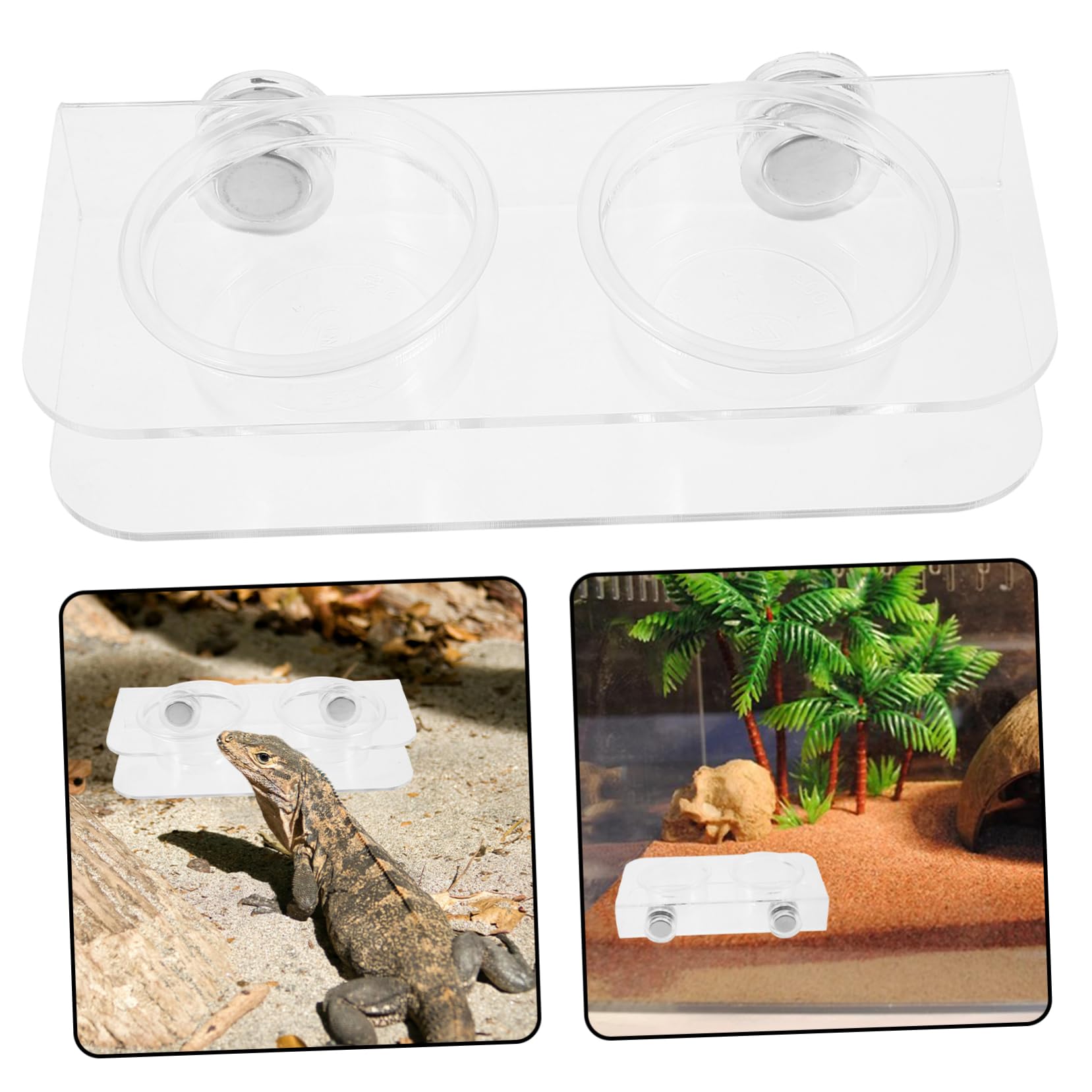 POPETPOP 5 Juegos Comedero para Reptiles Accesorios para Terrarios Gecko Tazones De Comida De Gecko Alimentador De Gecos Cuencos De Agua para Reptiles Cuenca De Agua De Reptil El Plastico