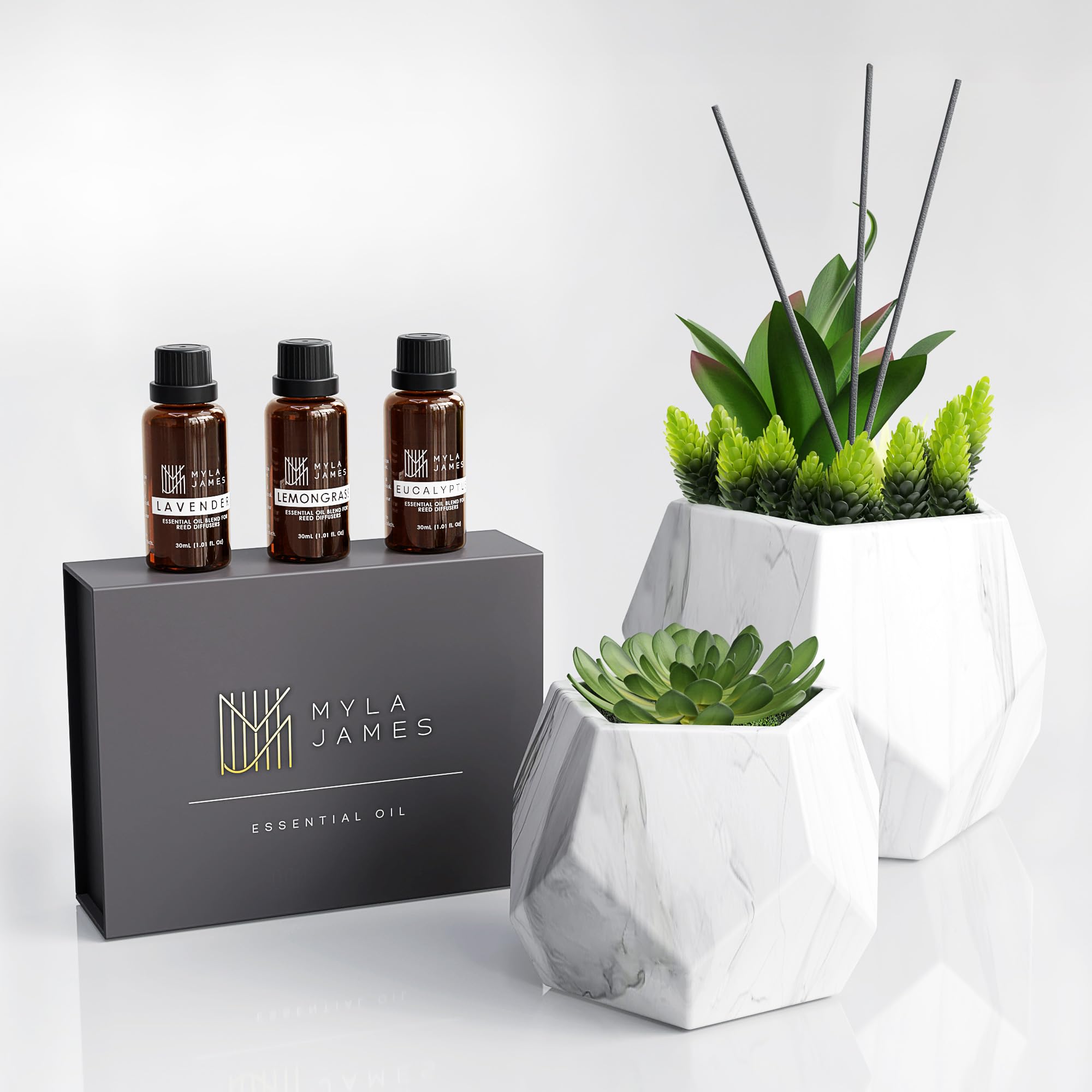 Photo 1 of *****MKISSING ONE OIL*****2in1 Reed Diffusers for Home & Faux Succulents Plants Artificial Set-Ceramic Potted Succulents x2 Pcs, Home Fragrance w/Lavender, Lemongrass, Eucalyptus Essential Oilx3 bottles 30ml with 9 Reed Sticks