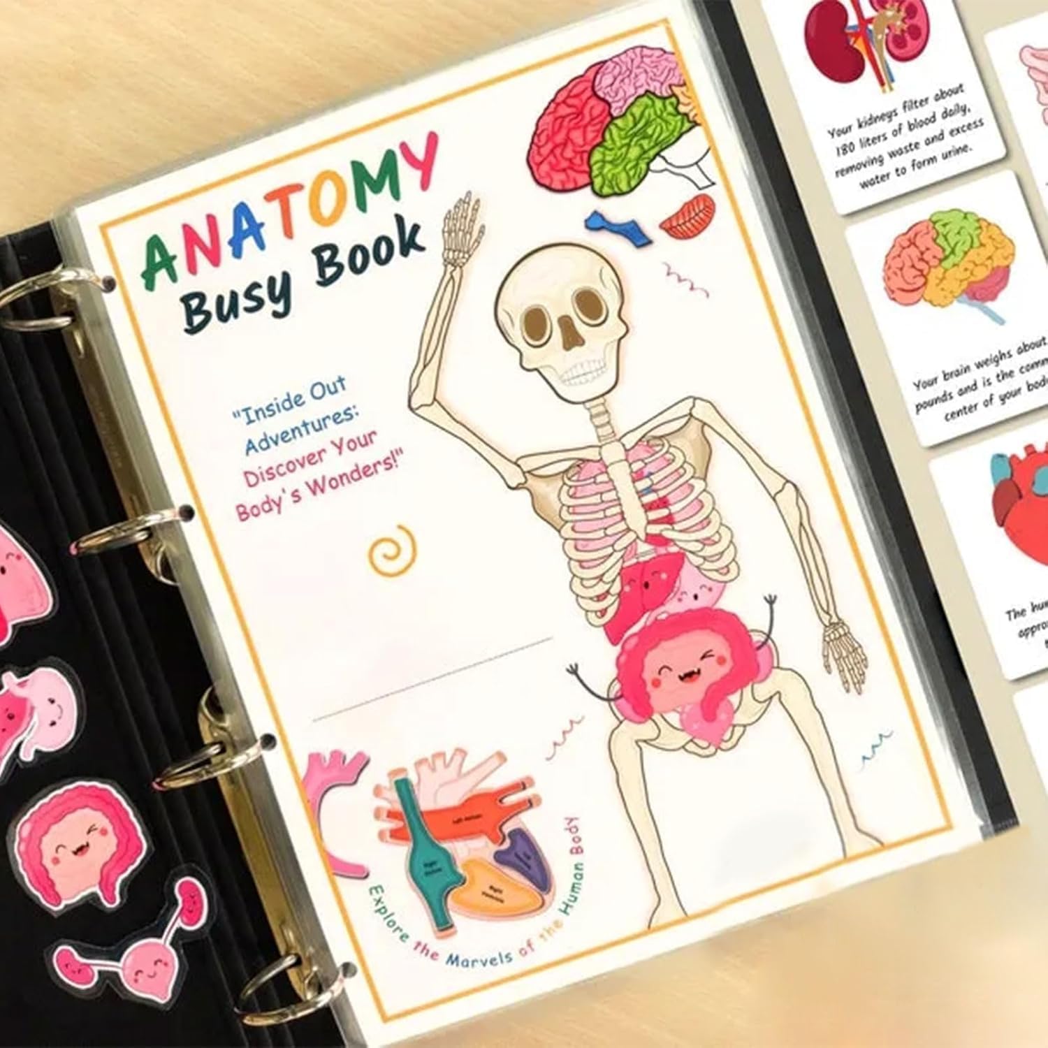 Human Body Anatomy Busy Book for Kids，Interactive Anatomy Binder Sensory Educational Busy Book，Montessori Busy Book Human Body Model Preschool